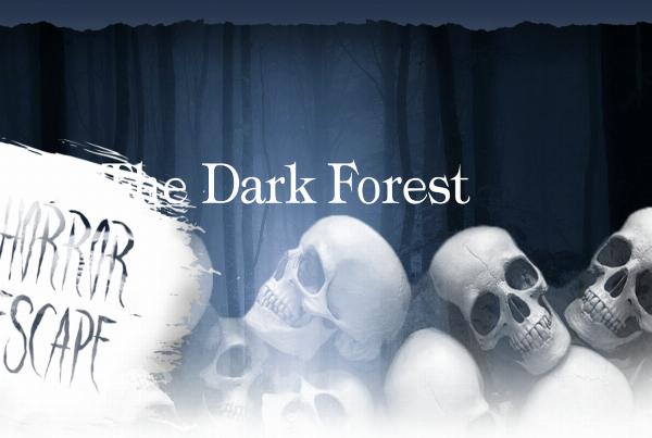 escape room The Dark Forest