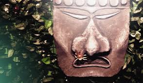 escape room The Temple Box